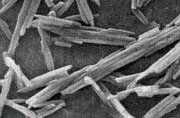 Blue pigment shown before processing for smaller particle size