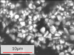 Acidic Solid Electrolyte under electron microscope