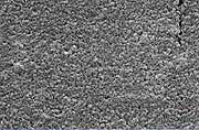 Green pigment at 0.1 μm after being processed through Star Burst