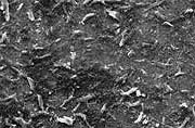 Post processing magnification of silk powder pigment after Sugino's Star Burst process